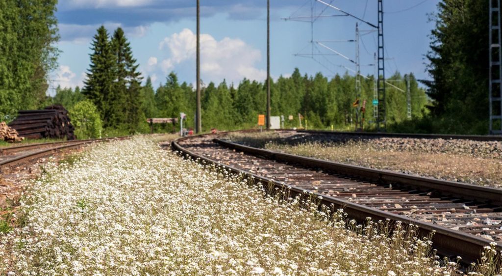 Kuvituskuva