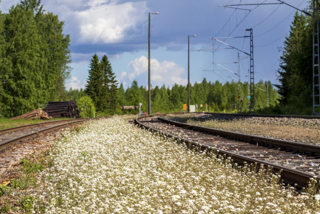 Kuvituskuva